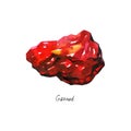 Red crystal garnet gem. Watercolor mineral. Illustration on white background. Royalty Free Stock Photo