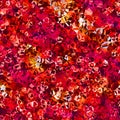 Red crystal pattern Royalty Free Stock Photo