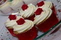 Red cup cakes with roses on top Royalty Free Stock Photo