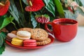 Red cup coffee, biscuits, macaroons, flowers on a white wooden t