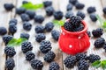 Red dotted cup full with fresh blackberries Royalty Free Stock Photo