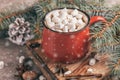 Red cup of hot cocoa with marshmallow Royalty Free Stock Photo