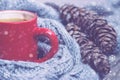 Red cup of hot tea with pine cones and scarf decoration Royalty Free Stock Photo