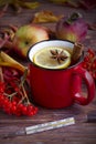 Red cup of tea with lemon, anise and cinnamon with glass thermometer, rowan, apples and autumn colorful leaves. Royalty Free Stock Photo