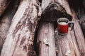 Red cup with tea and lemon on a wooden log Royalty Free Stock Photo