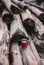 Red cup with tea and lemon on a wooden log Royalty Free Stock Photo