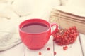 Red cup of a therapeutic herbal tea with rowan berry on white ru