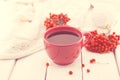Red cup of a therapeutic herbal tea with rowan berry on white ru