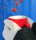 Red cup, white gloves, blue fence and red berries rose hips