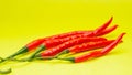 Red Curly chili (Capsicum annum L.) arranged neatly on a yellow background. Royalty Free Stock Photo