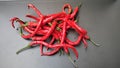 red curly chili isolated Royalty Free Stock Photo