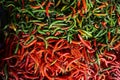 Red Curly Chili sell in Traditional Markets. Royalty Free Stock Photo