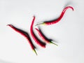 Red curly chilies white background