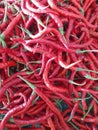 Red curly chilli paper