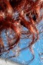 Red curly curls close-up Royalty Free Stock Photo