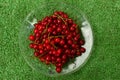 Red currant on the background