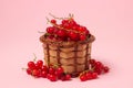 Red currant in a basket on a pink background. Fresh ripe red currant. Royalty Free Stock Photo