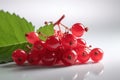 Red currant berries on background. Juicy red berries, fresh and sweet. Royalty Free Stock Photo