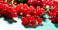 Red currant berries on blue, turquoise background, close up. Fresh and juicy organic redcurrant berry