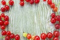 Red currant berries border Royalty Free Stock Photo