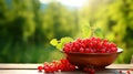 red currant berries in a bowl against the backdrop of the garden. Selective focus. Royalty Free Stock Photo