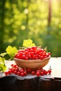 red currant berries in a bowl against the backdrop of the garden. Selective focus. Royalty Free Stock Photo