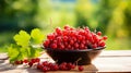 red currant berries in a bowl against the backdrop of the garden. Selective focus. Royalty Free Stock Photo