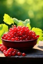 red currant berries in a bowl against the backdrop of the garden. Selective focus. Royalty Free Stock Photo