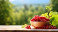 red currant berries in a bowl against the backdrop of the garden. Selective focus. Royalty Free Stock Photo