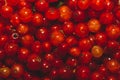 Red currant berries close up. fresh redcurrant macro background