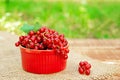 Red currant berries in a cocotte on a background of greenery, wooden with burlap. Natural vitamins concept