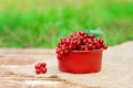 Red currant berries in a cocotte on a background of greenery, wooden with burlap. Natural vitamins concept