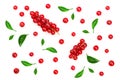 Red currant berries decorated with green leaves isolated on white background Royalty Free Stock Photo