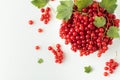 Red currant berries with green leaves in the black bowl on the black background Royalty Free Stock Photo