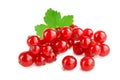 Red currant berries with leaf isolated on white background