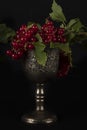 Red currant berries in a luxurious vintage glass on a dark background