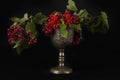 Red currant berries in a luxurious vintage glass on a dark background