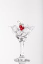 Red currant berries in a martini glass on white background Royalty Free Stock Photo