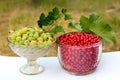 Red currant berries Ribes Rubrum and gooseberries Ribes uva-crispa in glass bowls Royalty Free Stock Photo