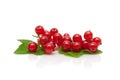 Red currant berries on a white background Royalty Free Stock Photo