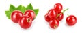 Red currant berry with leaves isolated on white background. Set or collection. Royalty Free Stock Photo
