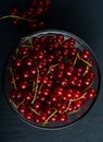 Red currant on black background