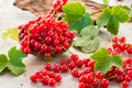 Red currant in a bowl, berries and leaves scattered