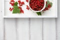 Red currant bowl in a white tray