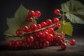 Red currant. A branch of red berries with green leaves