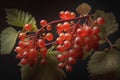 Red currant. A branch of red berries with green leaves