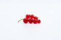 Red currant branch white background isolated food sweety