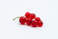 Red currant branch white background isolated food sweety