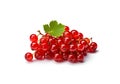 Red currant bunch isolated, Redcurrant pile, ripe red currant berries group on white background Royalty Free Stock Photo