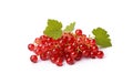 Red currant bunch isolated, Redcurrant pile, ripe red currant berries group on white background Royalty Free Stock Photo